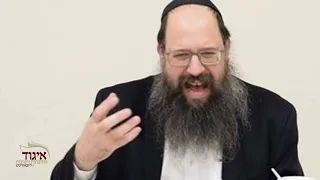 לרמב"ם - מה בדיוק ישיגו לעתיד לבוא? הרב חיים שי' שפירא