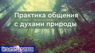 #102 Практика общения с духами природы (плазмоидами) | Команда "Кассиопеи" в Крыму