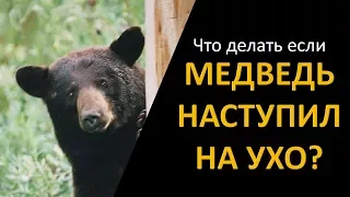 Что делать если медведь наступил на ухо (Муздневник #16)