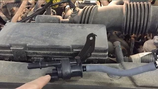 Ford Quick Tips: #37 Ford F-150 Dies Out Canister Purge Valve Failures