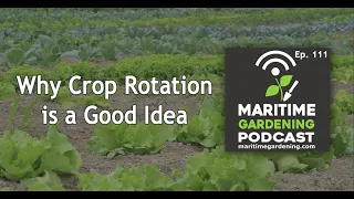 MGP 111: Why Crop Rotation is a Good Idea