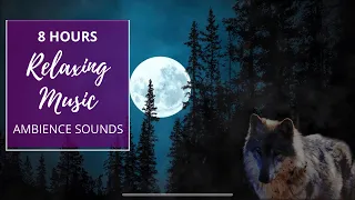 Wolf Howls, Nature At Night. Sleep, Relax, Peaceful [8 HOUR] Ambient Sounds, Music, and Imagery