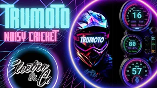 Electro & Co. Trumoto Noisy Cricket Controller! Best Controller For Your Electric Motorcycle 🔥