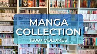 2024 Manga Collection Tour | 1600+ volumes