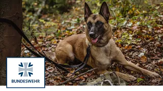 Vom Welpen zum Diensthund | Wiedersehen mit Cassy | Bundeswehr