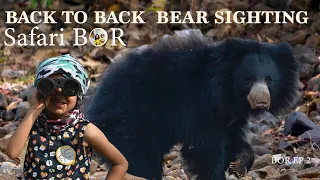 5 Sloth Bear sighting in single safari | Funny reaction by bears | Bor tiger reserve Maharashtra