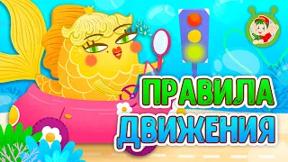 ПРАВИЛА ДВИЖЕНИЯ ♫ МУЛЬТиВАРИК ТВ ☺ ДОБРАЯ  МУЛЬТ ПЕСЕНКА ДЛЯ ДЕТЕЙ ♫ 0+