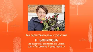 Рекомендации эксперта: Подготовка роз к укрытию. Наталья Борисова, NB-Garden