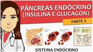 Sistema Endócrino 09- Pâncreas Endócrino- Fisiologia (insulina e glucagon) - Vídeo aula