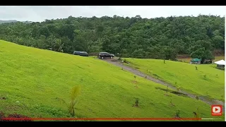 FARM LOT FOR SALE ( Property #64 ) 55,560 SQM, Cavinti, Laguna. pls see description below