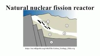 Natural nuclear fission reactor