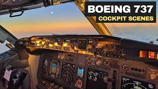 Sunset Over the Alps - Boeing 737-800 Cockpit View at FL360 | Airline Pilot Life | Cockpit Scenes 4K