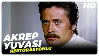 Akrep Yuvası | Eski Türk Filmi Tek Parça (Restorasyonlu)