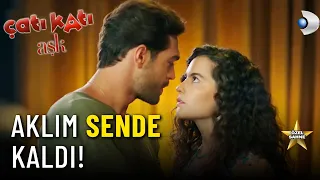 Demir, Ayşen’in Peşinde!  - Çatı Katı Aşk Özel Klip