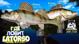 Русская рыбалка 4.🎣🦈 р. Северский Донец 🐠🐬💦 ГДЕ ЛОВИТ LATORSO 👀