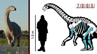 A New Species of Dwarf Titanosaur Has Been Discovered | 7 Days of Science