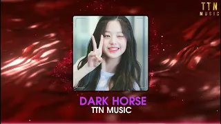 Dark Horse Remix | Nhạc Hot Tiktok 2023 | TTN MUSIC