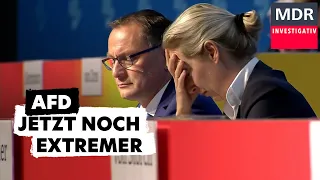 Radikal und stramm rechts – Die düstere Zukunft der AfD?