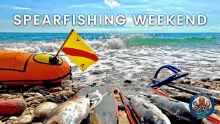 🔱 Spearfishing Weekend Ends with Fish on the Grill | A Gift from the Sea | Catch & Cook 🔥