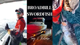 Another BROADBILL SWORDFISH Tag & Release.