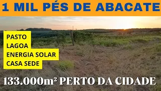 SÍTIO FORMADO COMPLETO RICO EM ÁGUA 7 KM DA CIDADE BOM PARA CRIAR AVES GADO CARNEIROS E PORCOS