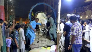 Al Ramzan Baloch Cattle Farm waloon kay ghar kay qurbani kay janwar