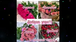 Доброе  утро     Элина  Чага      Сердце  Мое