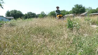 NEIGHBOR was VERY IMPRESSED I TACKLED this OVERGROWN LAWN and he could not BELIEVE the results.