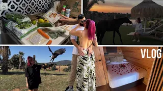 VLOG| Escapadita rural, ¿que comemos en una semana?, recetas guays, muchos animalitos 🦅🐴🏡