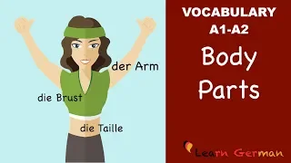 Learn German | German Vocabulary | die Körperteile | Body parts | der Körper | A1