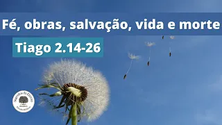 tiago 2.14-26 | Fé, salvação, obras, vida e morte.