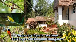 Yercaud | Stay @ 100 Year old British Bungalow #yercaud #yercaudtrip