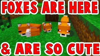 Foxes are in Minecraft 19w07a + 1.10.0.4 SnapShot Review