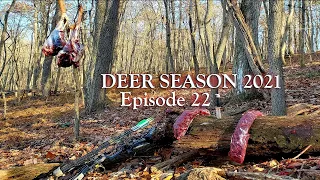 MAKING an ETHICAL DECISION on a BUCK! - Maryland Public Land Archery Hunting 2021! - Ep 22