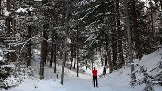 Cross Country Skiing | A Pure Michigan Winter