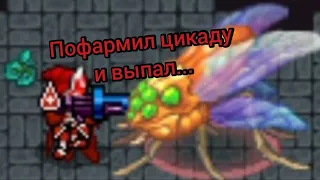 Пофармил Цикаду в Warspear Online