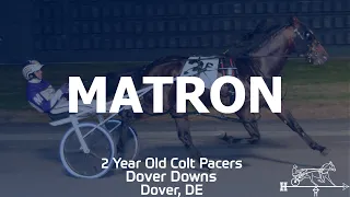 2019 Matron - Papi Rob Hanover - 2YO Colt Pace