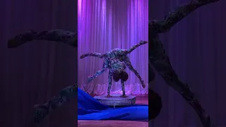 Очень красиво #circus #втоп #shortsyoutube #цирк #стойканаруках #акробатика #дальшебольше #shots