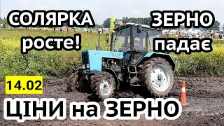 Ціни на зерно 14.02! Соняшник👇, Пальне👆 Нал/безнал/$ Цінове раллі!