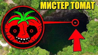 зря мы нашли МИСТЕРА ПОМИДОРА он очень голодный!😱 **Mr. Tomatos В реальной жизни**