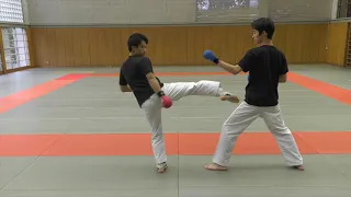 【KARATE TUTORIAL】Kumite Tactics Against Bigger Opponents