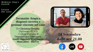 Dermatite Atopica nel cane: come salvarlo dal prurito?