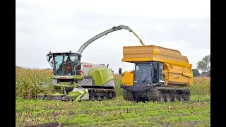 Maïs 2023 | Damsteegt | Heijdra | Claas Jaguar 940 on tracks | Prinoth Panther | IHI | Wet field