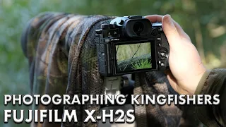 Photographing Kingfishers with Fuji XH2S + XF 150-600mm - Bird Photography