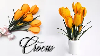 Crocus