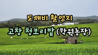 변산반도 기행(1박2일)_Day 1(학원농장_청보리밭, 곰소항맛집_현정이네횟집, 소노벨변산호텔)