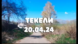 Текели