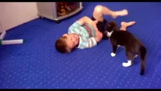 Кот воспитывает ребенка оч смешно Часть 2. Cat raising a child is very funny part 2)