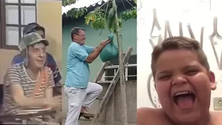 TIOZINHO ESPECIALISTA EM TIRAR CAIXA MARIMBONDO ABRACAR CAIXA MARIMBONDO COM SACOLA GORDINHO RINDO