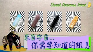 🌜Sweet Dreams Tarot🌛你需要知道的訊息💌用開放的心態接受聆聽來自宇宙的指引🐚無主題占卜✨感應給你的訊息🧭用塔羅牌尋找答案與方向✅不限關係人群⏰Timeless